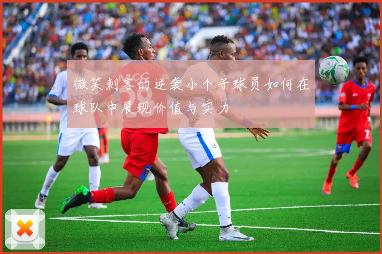 微笑刺客的逆袭小个子球员如何在球队中展现价值与实力